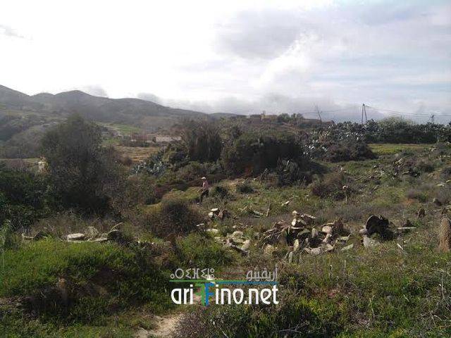 nador0993