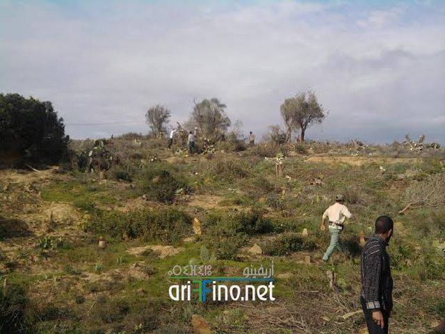 nador0996