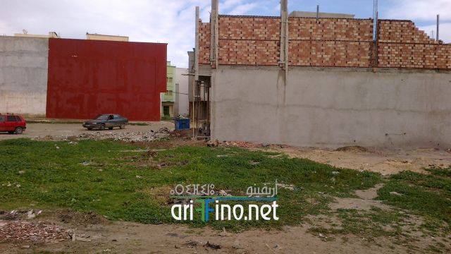 nador1001
