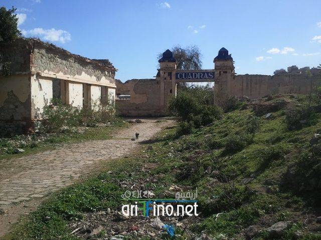 nador1036
