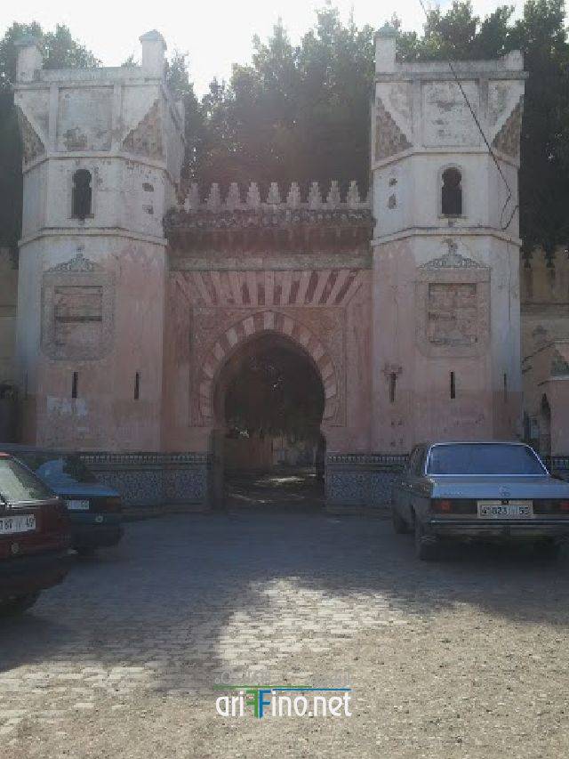 nador1038