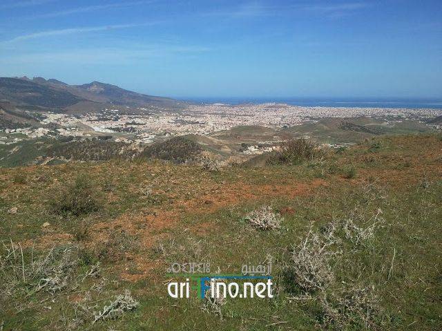 nador1040