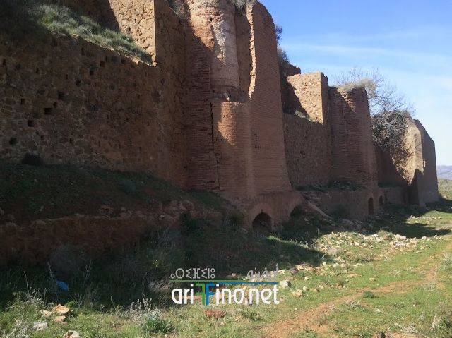 nador1043