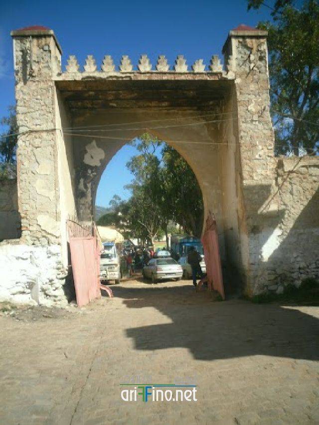 nador1050