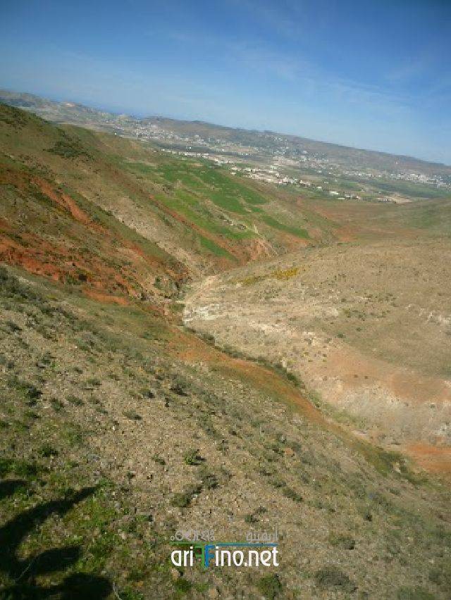 nador1054
