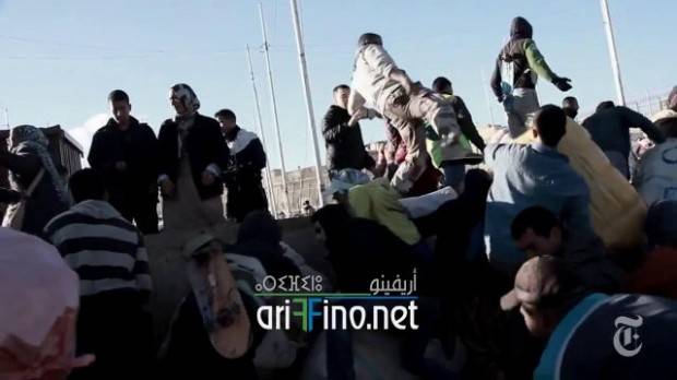 nador0194
