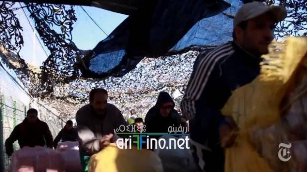 nador0242