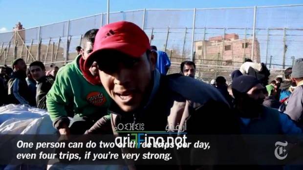 nador0244