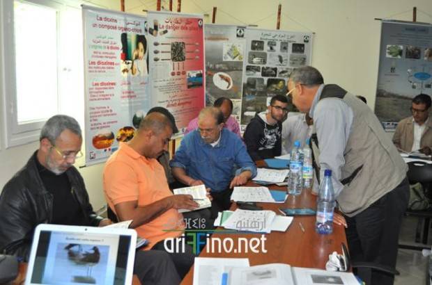 nador0355