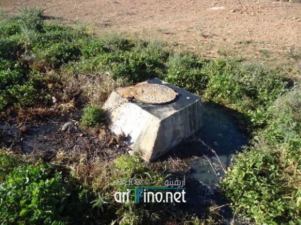 nador0374