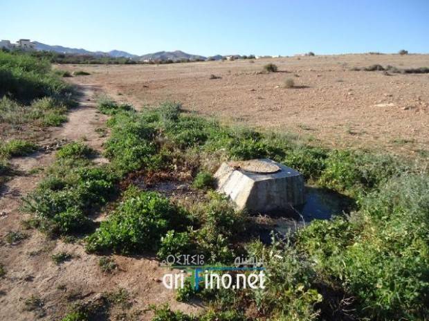 nador0375