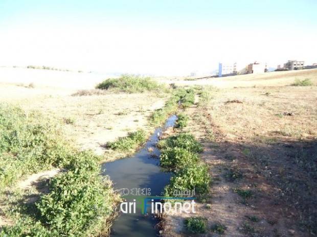 nador0376