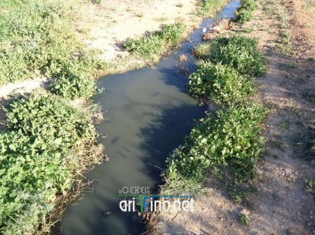 nador0377