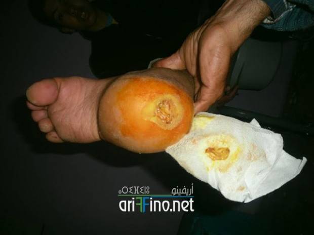nador0683