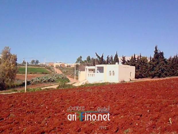 nador1219