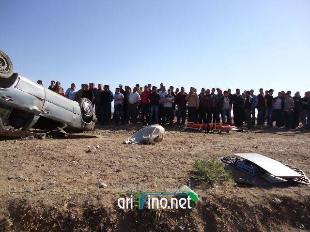 nador1313
