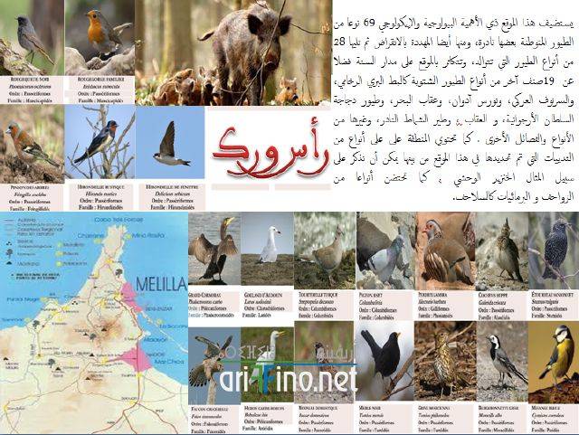nador1392