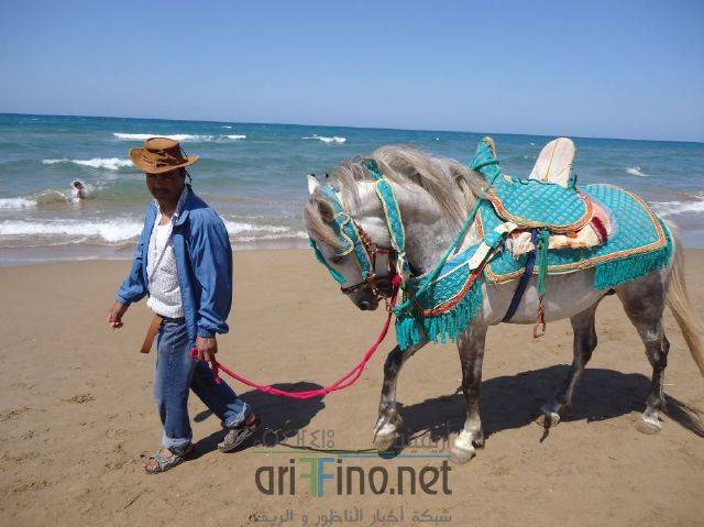 nador0159
