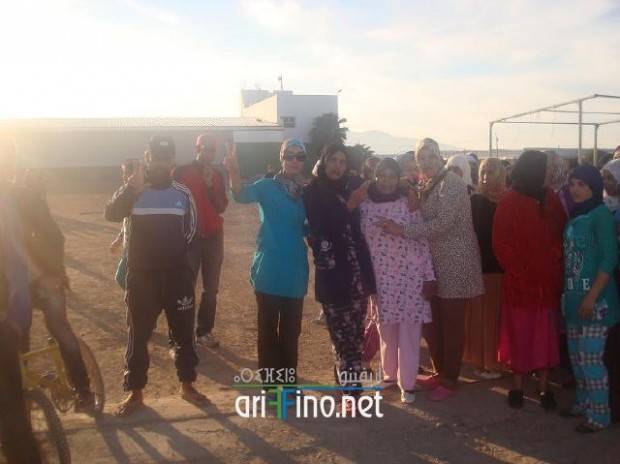 nador0184