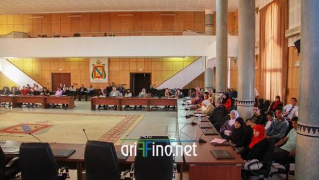 nador0359