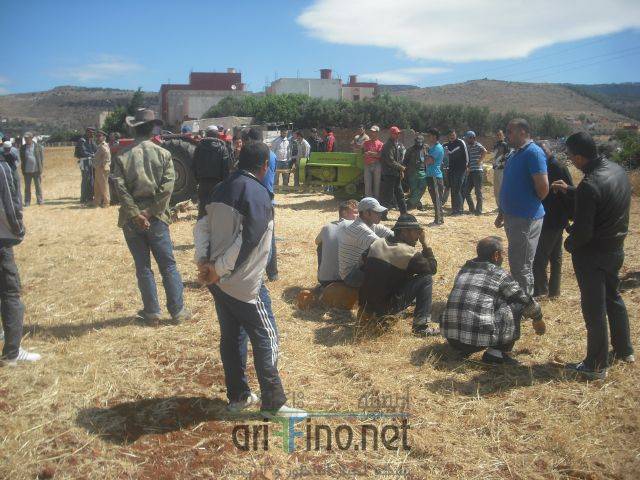 nador0375