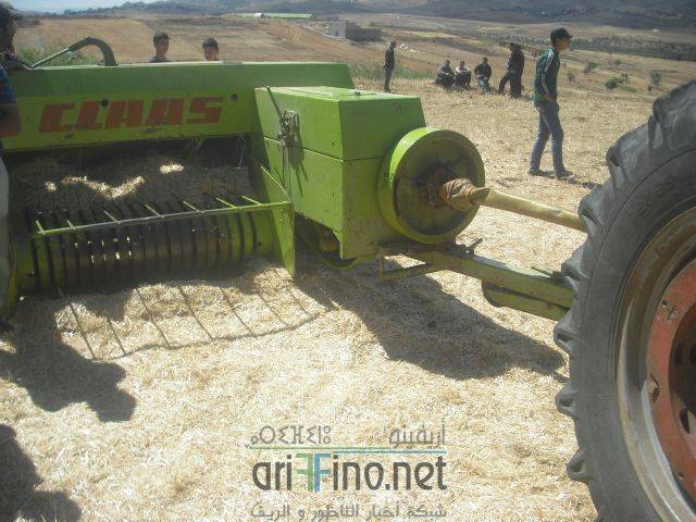 nador0381