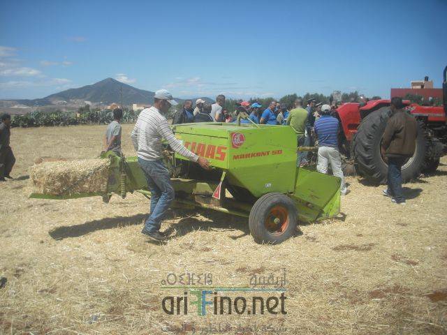 nador0382