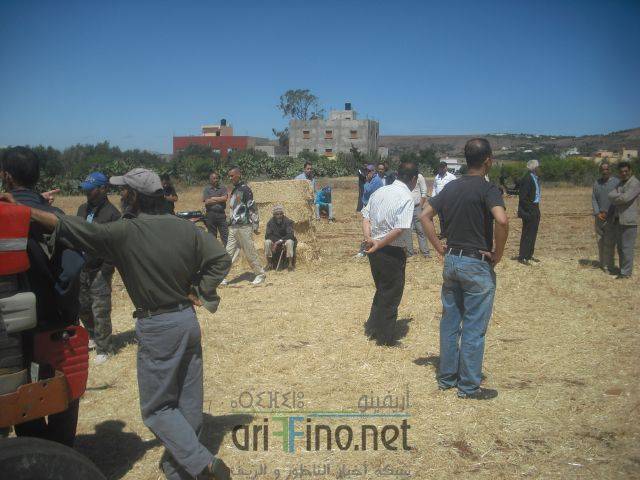 nador0383