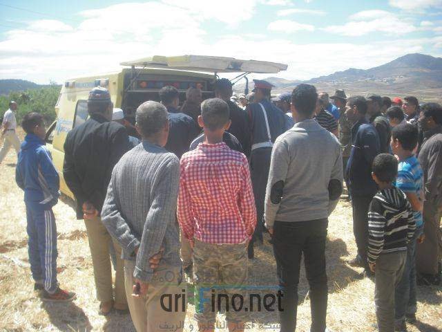 nador0388