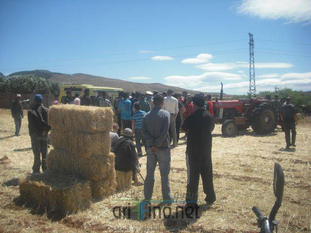 nador0389