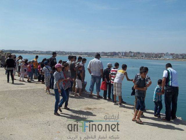 nador0662