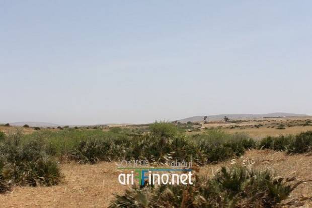 nador0663