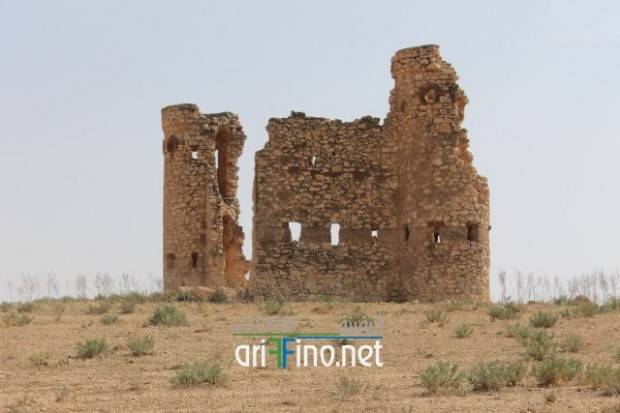 nador0675