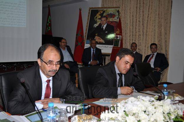 nador0704