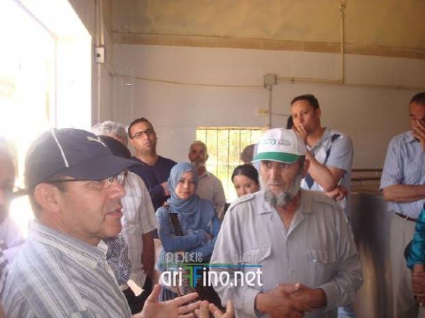 nador0919