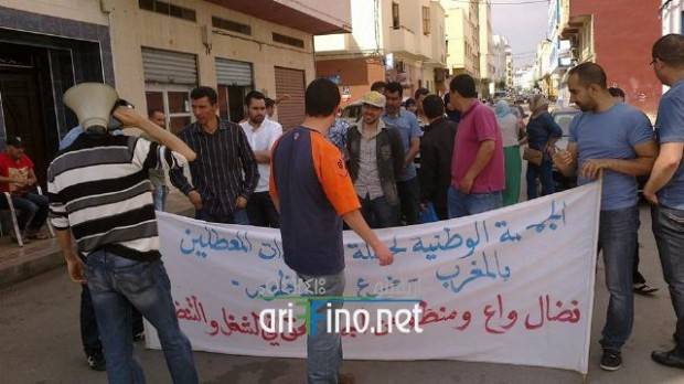 nador1517