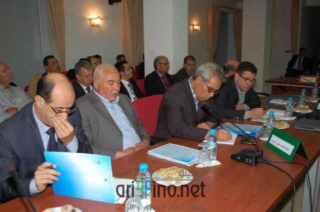 nador2367