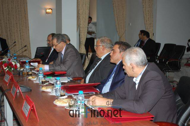 nador2387
