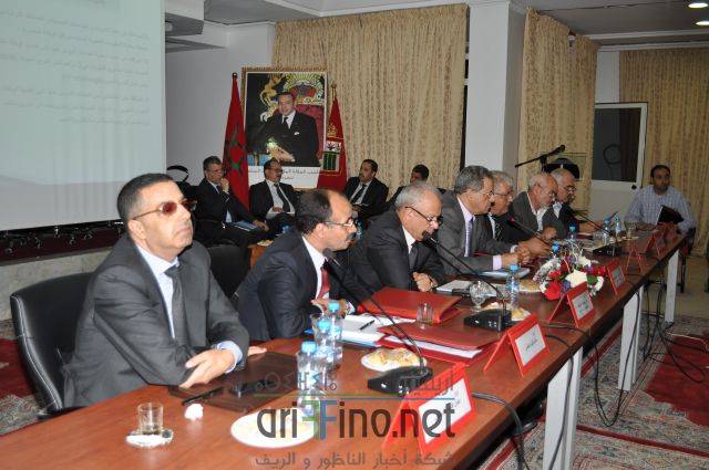 nador2545
