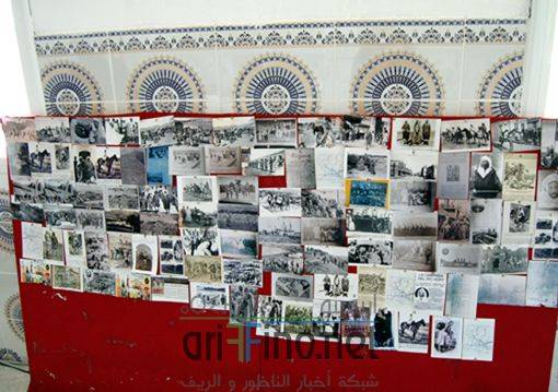 nador2591