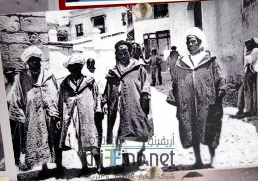 nador2592