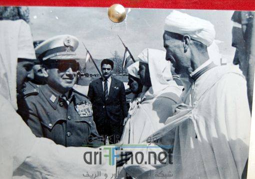 nador2596