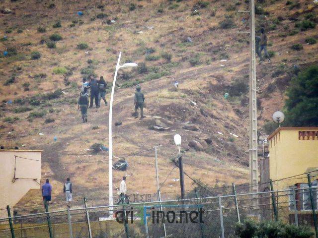 nador2683