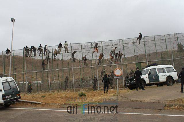nador2691