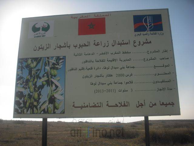 nador2933