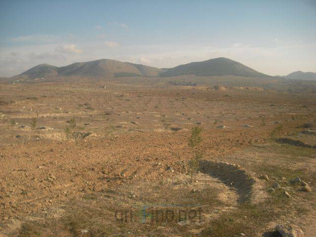 nador2934