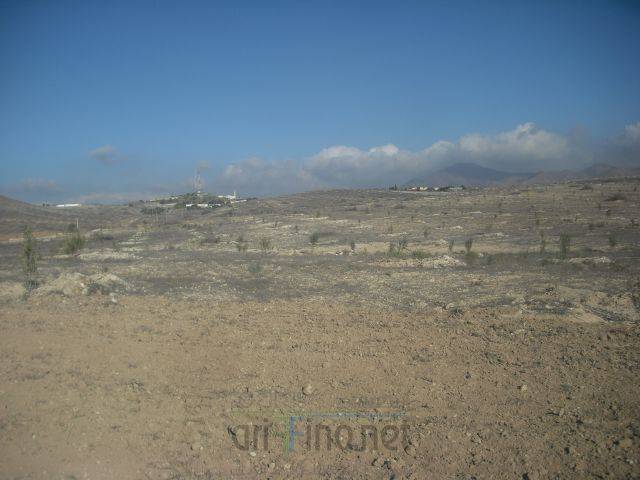 nador2935