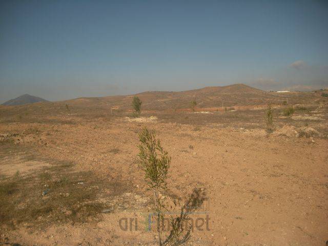 nador2936