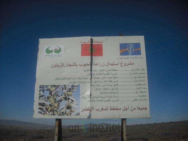 nador2938