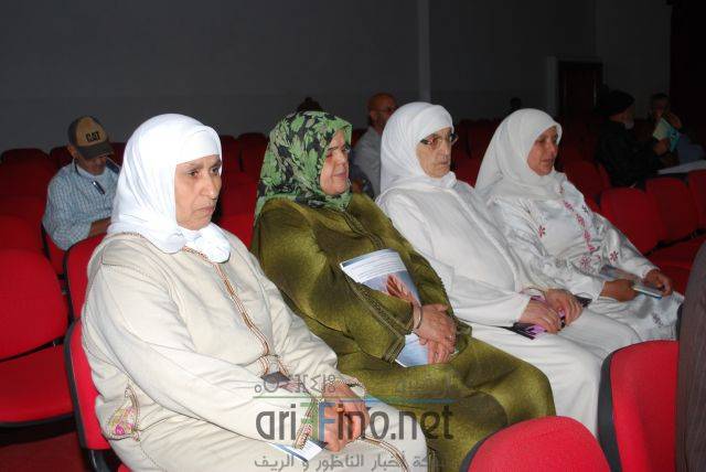 nador3040